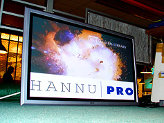Hannu Pro